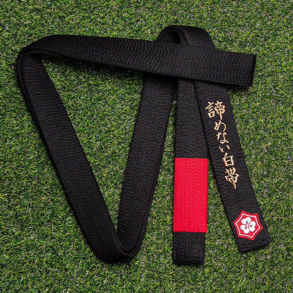 WHITE BELT WHO NEVER QUIT