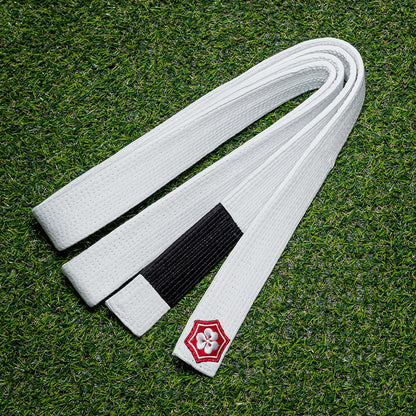 CLASSIC [Standard Fabric]