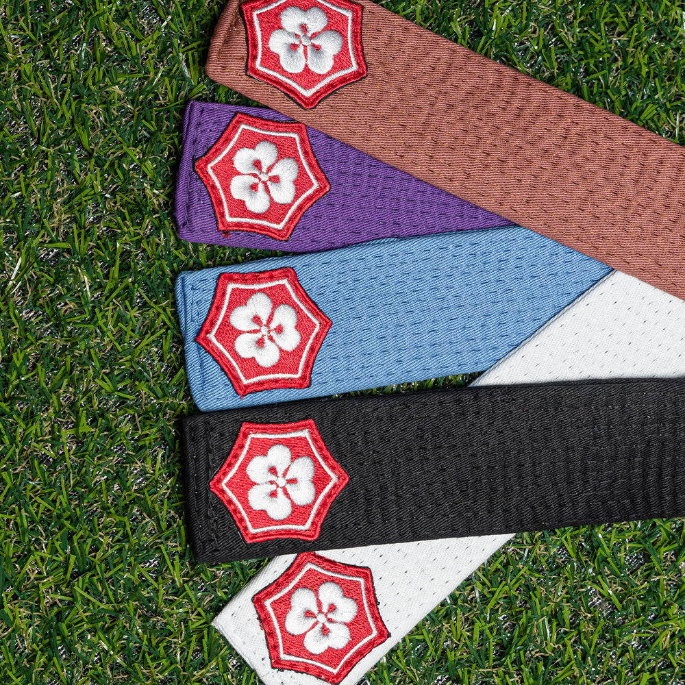 Close-up of KANJI Classic BJJ belt ends in black, brown, purple, blue, and white