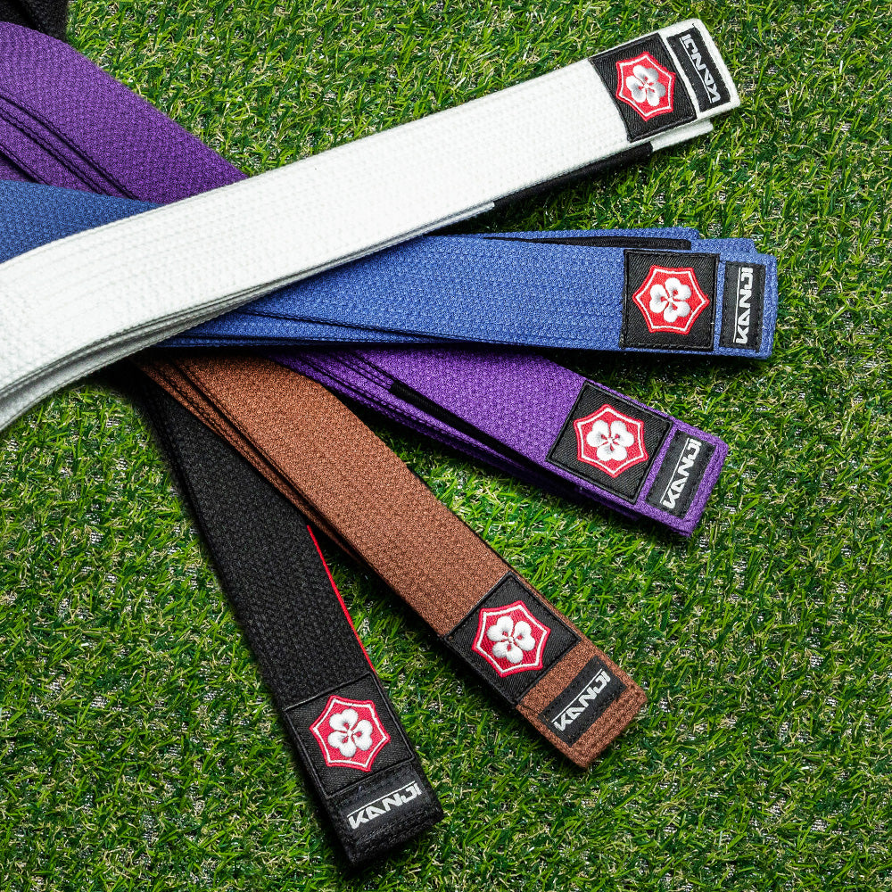 KANJI KATANA BJJ belts in white, blue, purple, brown, and black on training turf